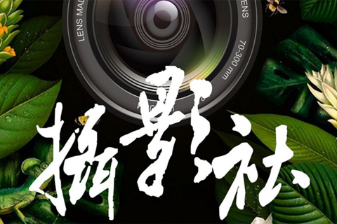 力邁中美國際學校攝影
